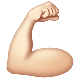 muscle