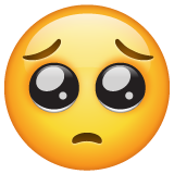 pleading